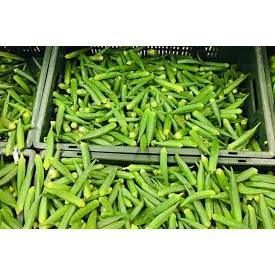 HẠT GIỐNG ĐẬU BẮP XANH TN 99-20gam-TRUNG NÔNG SEEDS