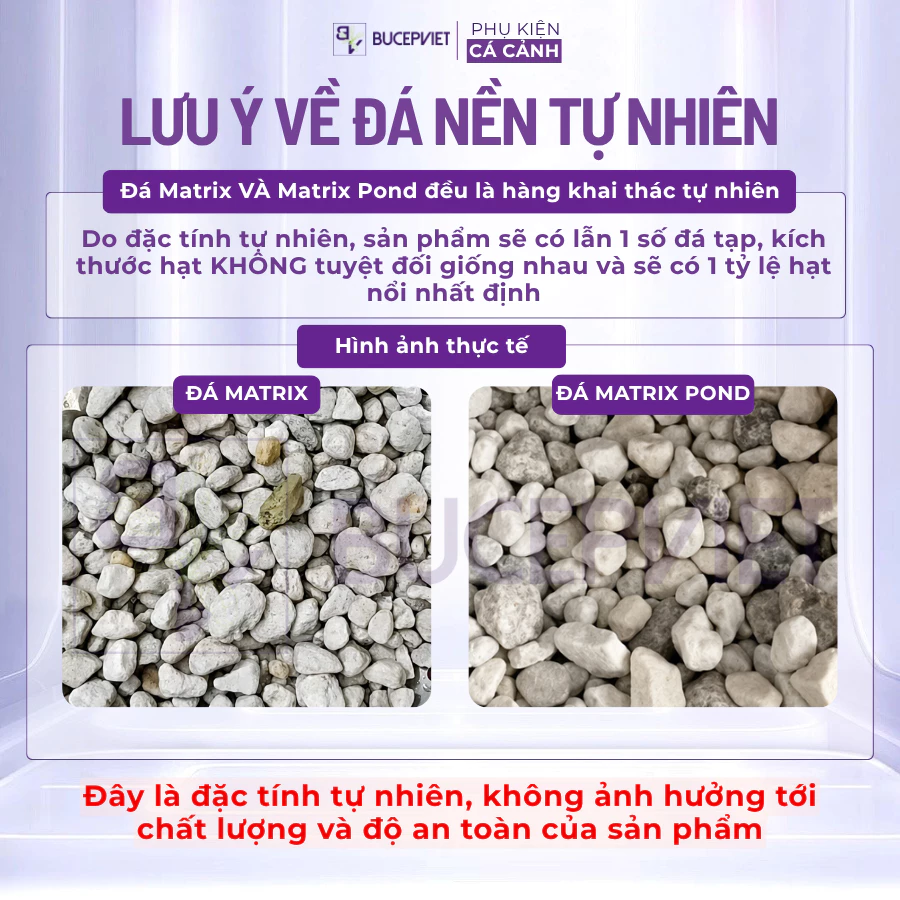 Lưu ý khi dùng Matrix Pond với đá nền tự nhiên