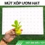 Dinh Dưỡng Thủy Canh Và Phụ Kiện Thủy Canh, Dung Dịch Đậm Đặc An Toàn Hiệu Quả cho rau ăn lá, rau ăn quả