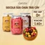 Socola Viên Sữa Chua Trái Cây | Đồ ăn vặt bánh kẹo văn phòng ngon chất lượng | Baiser Legendary