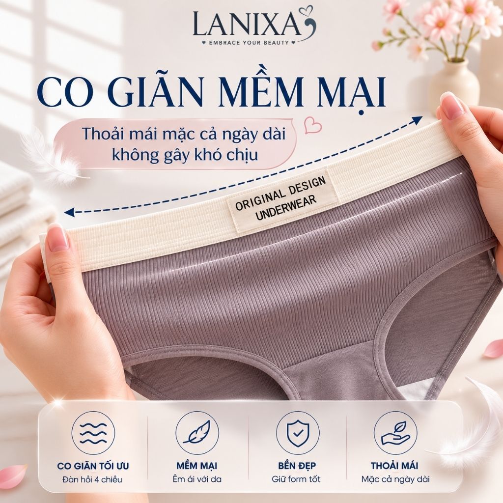 Combo 5 Quần lót nữ cotton kháng khuẩn cạp vừa tôn dáng, Quần chip nữ thun lạnh gân tăm LANIXA L1226