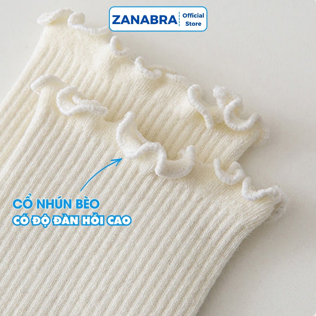 Tất nữ cotton gân tắm cổ bèo dễ thương - Vớ nữ hàn quốc, thoáng mát co dãn ZANABRA T12