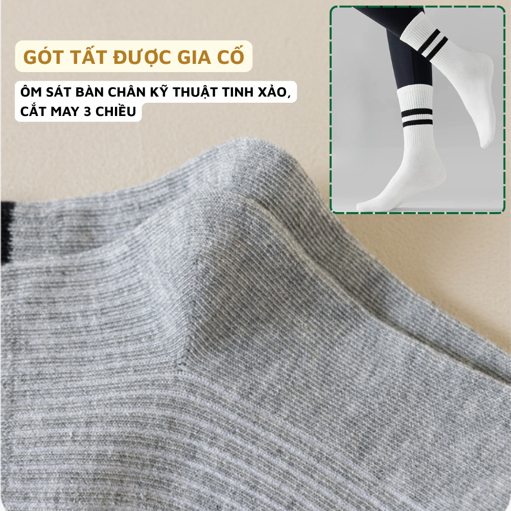 Combo 5 đôi tất cổ cao nữ hàn quốc - Vớ nữ cotton thể thao, co dãn 4 chiều ZANABRA T588