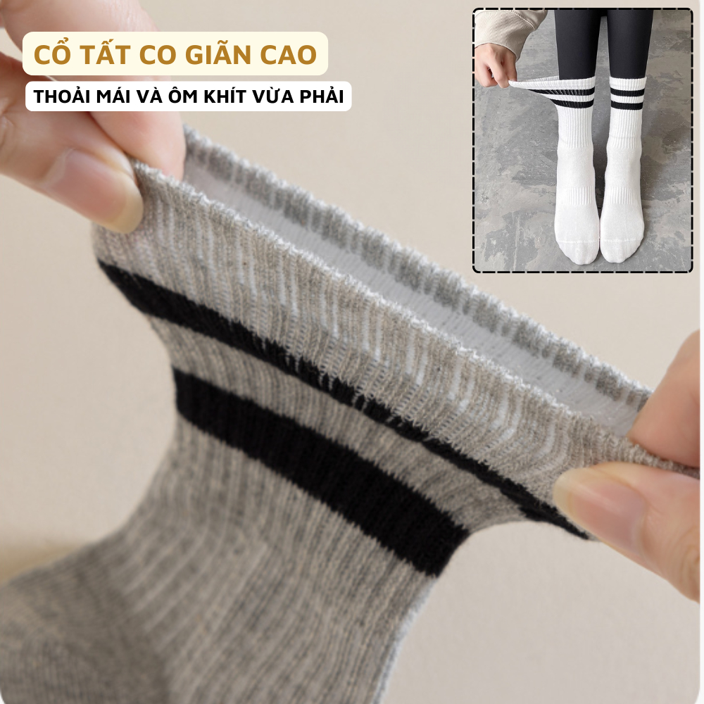 Combo 5 đôi tất cổ cao nữ hàn quốc - Vớ nữ cotton thể thao, co dãn 4 chiều ZANABRA T588