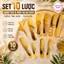 Combo 2 túi Set 10 Lược chải tóc mát xa da đầu chống tĩnh điện tiện dụng ( 20 cái )