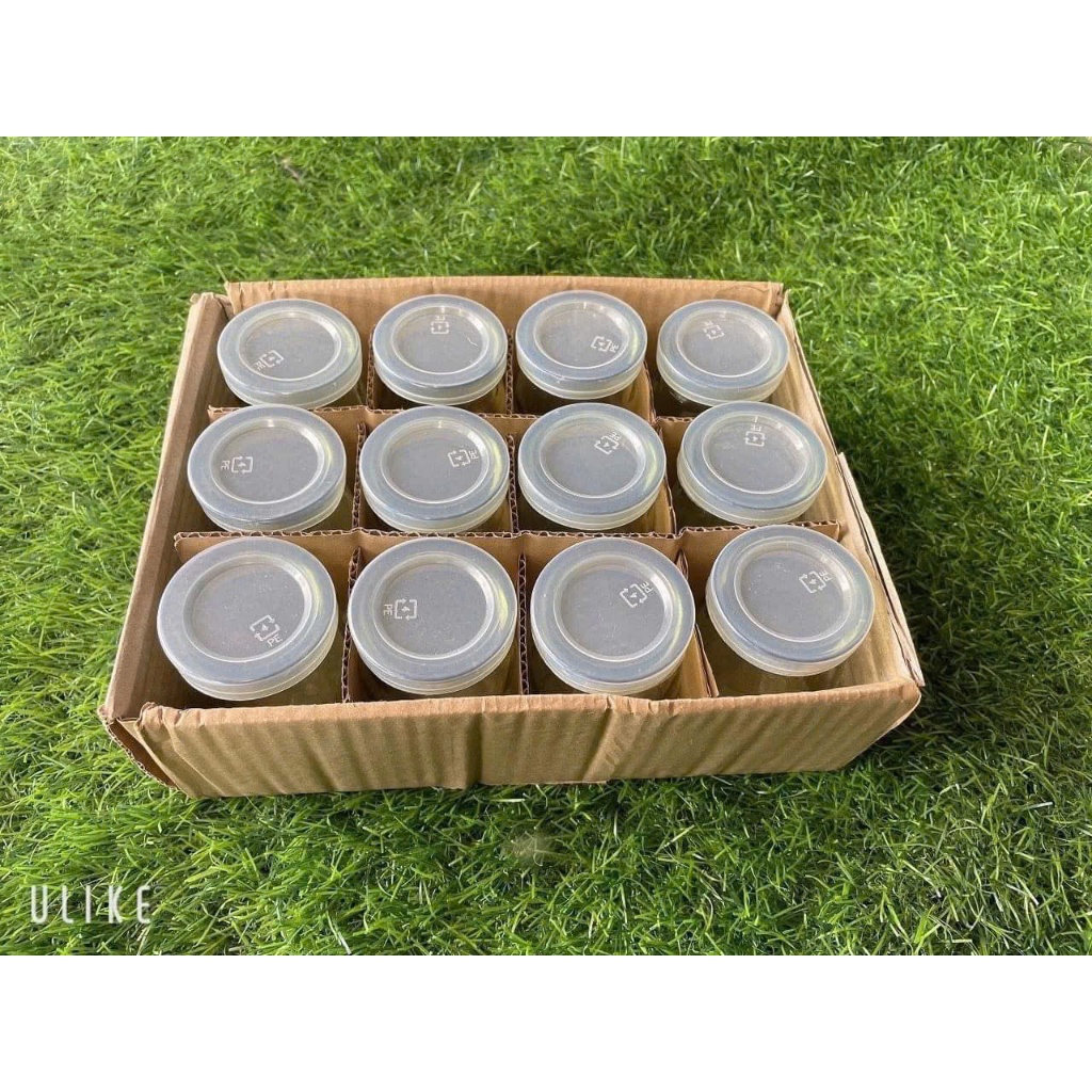 Lóc 12 hủ thủy tinh đựng sữa chua - chưng yến