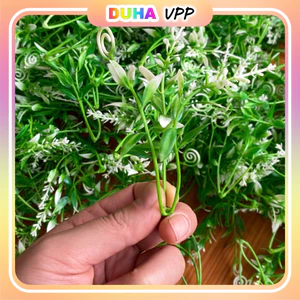 1kg Cỏ Điểm Cỏ Móc Bi Trắng .Loại Cao Cấp .Xịn Xò .Đùng Điểm Cho Hoa Giấy .Hoa Sáp DUHA 010