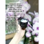 Kem Cổ Dream Neck Elixir Tightening Formulla Cream Shegaia