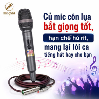 Mic Có Dây TA-800 Dây Dài 5m, Có Màng Rung Kép, Giúp Tái Tạo Chính Xác Giọng Hát, Giúp Thu Âm Giọng Hát, Chống Hú Tốt