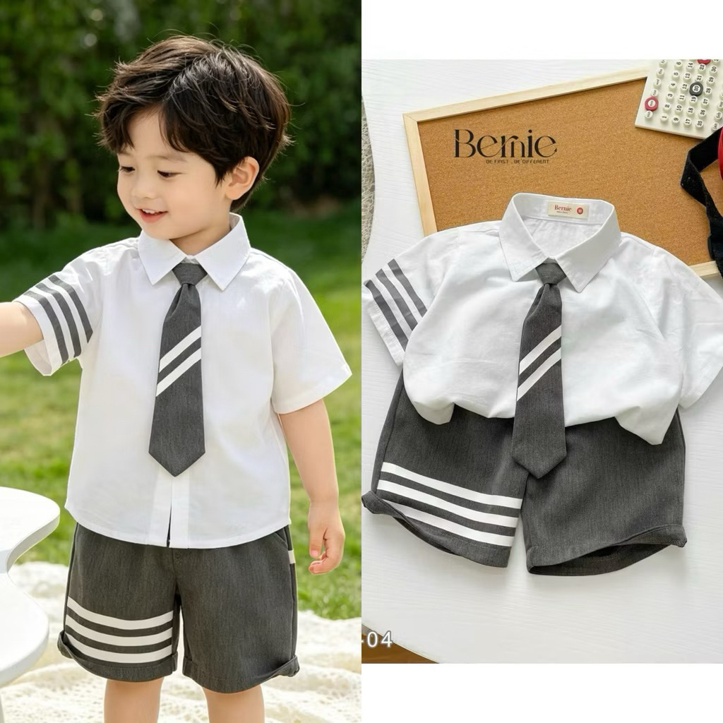 Áo Phông Bé Trai Và Bộ Bé Trai Ngắn Tay Mùa Hè Nhiều Mẫu Bernie Size 80-130 (9-24kg)