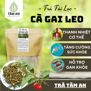 Trà Mát Gan Cà Gai Leo Túi Lọc - Hỗ Trợ Mát Gan, Nóng Trong, Nổi Mụn, Giải Rượu - Tâm An 30 Lọc