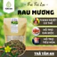 Trà Cây Rau Mương Túi Lọc - Hỗ Trợ Tiêu Hóa, Chống Trào Ngược, Đầy Hơi, Ợ Chua, Ức Chế Vi Khuẩn HP - Tâm An 30 Lọc