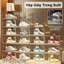 5 cái/10 cái Hộp Đựng Giày Nhựa Cứng Vừa Cho Các Size Giày​ ​Chống Nước​ Chống Bụi