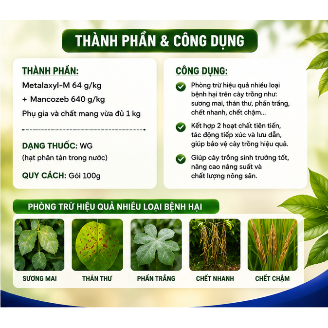 Ridomil Gold 68WG 100g Chính Hãng - Quản Lý Bệnh Cây Trồng Syngenta ( Thôi nhũn Sen Đá, Xương Rồng )