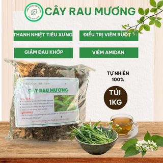 Cây Rau Mương Khô 1kg Loại 1 – Hàng Mới Đẹp, Sạch, Thảo Mộc Tự Nhiên, Dễ Pha Trà
