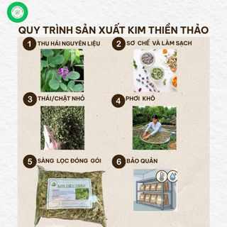 Kim Tiền Thảo Khô 1kg Nguyên Chất | Dược Liệu Khô Chọn Lọc | Thảo Dược Đạt Huyền