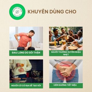 Kim Tiền Thảo Khô 1kg Nguyên Chất | Dược Liệu Khô Chọn Lọc | Thảo Dược Đạt Huyền