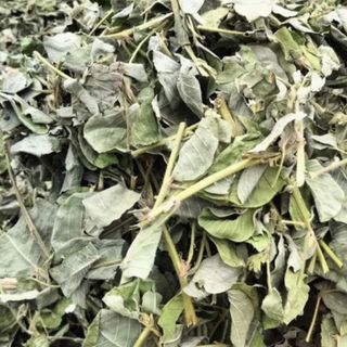 Kim Tiền Thảo Khô 1kg Nguyên Chất | Dược Liệu Khô Chọn Lọc | Thảo Dược Đạt Huyền
