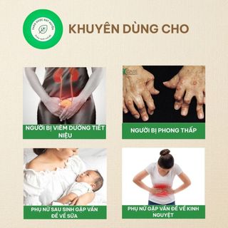 Cây Mộc Thông Khô 1kg Nguyên Chất | Dược Liệu Khô Chọn Lọc | Thảo Dược Đạt Huyền