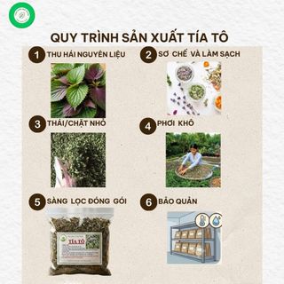 Tía Tô Khô 1kg Nguyên Chất | Lá Tía Tô Khô Chọn Lọc | Dược Liệu Khô | Thảo Dược Đạt Huyền