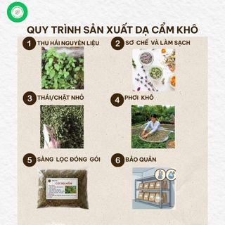 [ GIÁ TỐT ] 1kg cây bọ mắm khô ( cây thuốc dòi ) Cây dòi Thân Tím. Chữa Ho, Viêm Họng, Phế Quản…