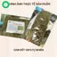 1kg cây bọ mắm khô ( cây thuốc dòi ) Cây dòi Thân Tím. Chữa Ho, Viêm Họng, Phế Quản…