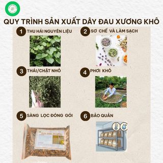 Dây Đau Xương Khô 1kg Nguyên Chất | Dược Liệu Khô Chọn Lọc | Thảo Dược Đạt Huyền