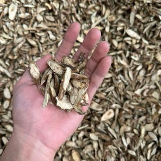 Dây Đau Xương Khô 1kg Nguyên Chất | Dược Liệu Khô Chọn Lọc | Thảo Dược Đạt Huyền