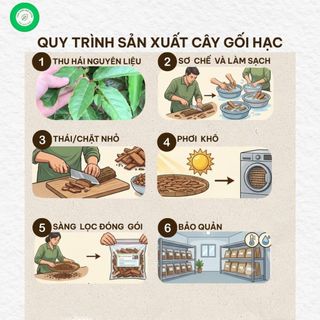 Cây Gối Hạc Khô 1kg Nguyên Chất | Dược Liệu Khô Chọn Lọc | Thảo Dược Đạt Huyền
