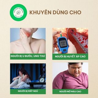 Cây Xạ Đen Khô 1KG – Hỗ Trợ Giải Độc, Thanh Nhiệt, Tăng Cường Sức Khỏe, Dược Liệu Sạch