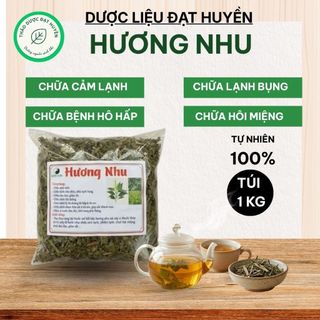 Cây Hương Nhu Khô 1kg Nguyên Chất | Dược Liệu Khô Chọn Lọc | Thảo Dược Đạt Huyền