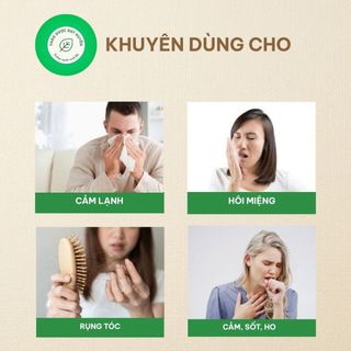 Cây Hương Nhu Khô 1kg Nguyên Chất | Dược Liệu Khô Chọn Lọc | Thảo Dược Đạt Huyền