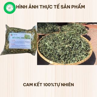 Lá Bồ Công Anh Khô 1kg Nguyên Chất | Dược Liệu Khô Chọn Lọc | Thảo Dược Đạt Huyền