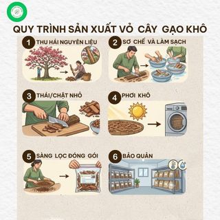 Vỏ Thân Cây Gạo Khô 1kg Nguyên Chất | Dược Liệu Khô Chọn Lọc | Thảo Dược Đạt Huyền