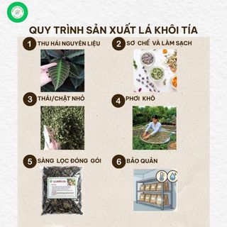 1KG lá khôi tía [ Hàng phơi nắng ] khô, sạch LOẠI 1 - Dược Liệu Đạt Huyền