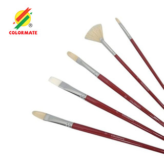 Bộ 5/6 Cọ Vẽ Chuyên Dùng Cho Màu Sơn Dầu - Colormate