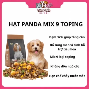 Hạt PANDA Cho Chó Không Độn Ngũ Cốc Đạm 32% Mix 9 Topping Giúp Tăng Cân, mượt lông túi 2,