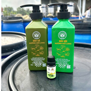 Tinh Dầu Bưởi Nguyên chất OCOP Hương Hồi Long 10ml - Kích thích mọc tóc, Khử mùi, thư giãn