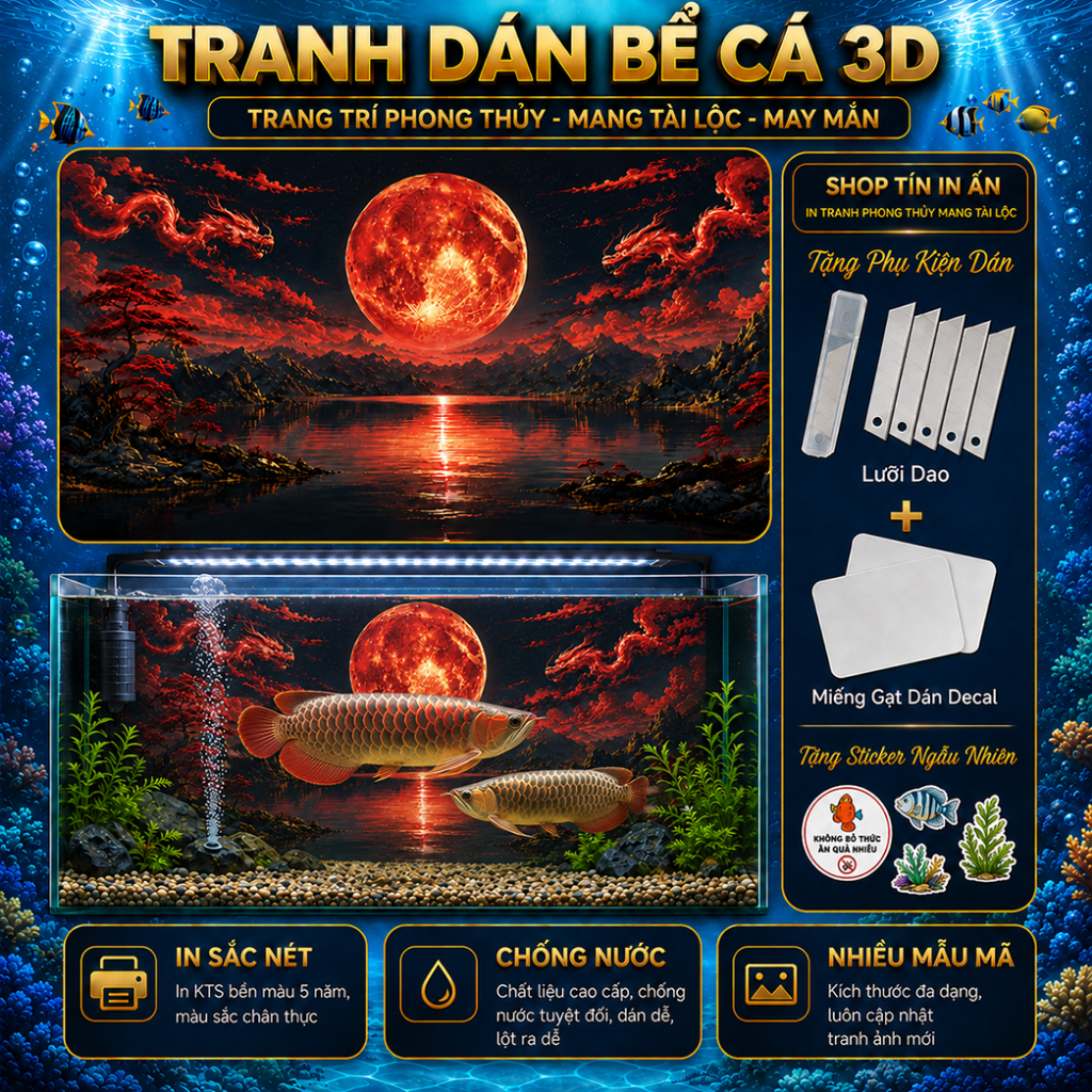 Decal tranh dán hồ cá 3D Kho In Ấn HC87 chống nước, In KTS dán dễ, gỡ dễ, có keo sẵn, nhiều kích cỡ