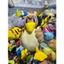 Gấu 2hand Gấu bông Farfetch'd (Vịt Lá Hành) này có kích thước khoảng 25-30cm.