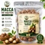 Hạt Mắc Ca Đắk Lắk Nứt Vỏ 1Kg Túi Zip - Macca Tây Nguyên Sấy Giòn Béo Loại 1, Dễ Bảo Quản | Thuần Việt Farm