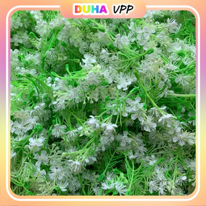 Set 100g Cỏ Điểm Bi Nở Lá Hồng Lá Táo Hoa Giả Làm Hoa Trang Trí Handmade Diy DUHA 101