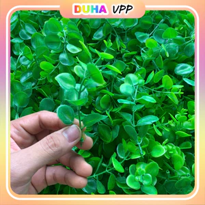 Combo 500g Cỏ Điểm, Cành Táo Ngắn, Cỏ Chấm Hỏi, Lá Nhựa Dùng Để Cắm, Trang Trí, Bó Hoa... DUHA 102