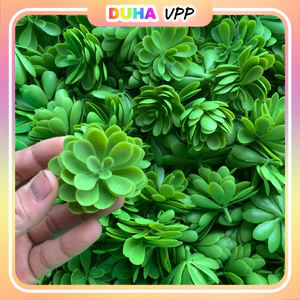 Bịch 1kg Cỏ Điểm Sen Đá Nhặt Sạch Cọng Hoa Điểm 3 Nhánh Trang Trí Bó Hoa, Giỏ Quà... DUHA 104
