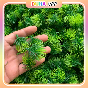 1kg Cỏ Điểm Cỏ Tùng Cỏ Thông Loại Cao Cấp Xịn Sò ,Dùng Trang Trí Cho Bó Hoa Sáp ,Hoa Giấy ,Hoa Hanmade DUHA 105