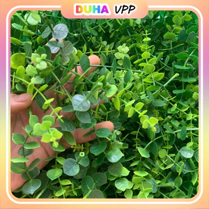 Bịch 500g Cỏ Điểm Cành Táo Dài Cúc Họa Mi Trang Trí Bánh Kem Nhà Cửa, Nơ Buộc Hoa... DUHA 106
