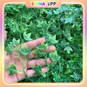 Túi 500g Cỏ Điểm Cỏ Tùng Sen Đá Trang Trí Bó Hoa , Hộp Quà,.. DUHA 144