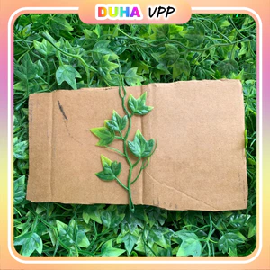 Combo 100g Cỏ Tùng Sen Đá Cỏ Điểm Trang Trí Hoa. Dùng Bó Hoa Sáp, Giỏ Hoa Các Loại. DUHA 144