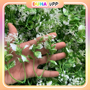100g Cỏ Điểm Đã Nhặt Sạch Trang Trí Hoa. Dùng Bó Hoa Sáp, Trang Trí Bó, Giỏ Hoa Các Loại. DUHA 145