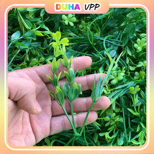 Túi 100g Cỏ Điểm, Lá Táo, Cúc Họa Mi, Bi Nở, Bi Nụ, Dùng Trang Trí Giỏ Quả, Khay Quả, Bó Hoa,Trang Trí DUHA 146